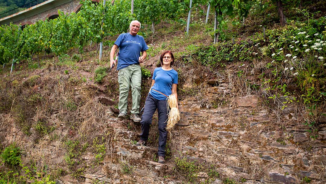 Frank und Jutta Brohl - Weingut Brohl