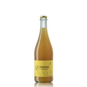 2025 PetNat , Cabernet Blanc, trocken 0,75 l